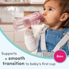 image:imageNUK Learner Cup 10 oz 2 Pack 8 Months  BPA Free Spill Proof Sippy CupPink Bunnies
