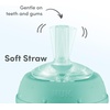 image:imageNUK Learner Straw Cup 10oz  Toddler Cup with Soft Straw for Easy Drinking Suitable for Ages 8 Months and UpGreen