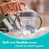 image:imageNUK Perfect Match Learner Straw Cup 5 oz 2 pack  Soft Straw EasyGrip Handles BPA Free Spill Proof Transition Sippy CupBlue Bears