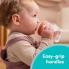 image:imageNUK Perfect Match Learner Straw Cup 5 oz 2 pack  Soft Straw EasyGrip Handles BPA Free Spill Proof Transition Sippy CupOrange Sheep