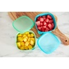 image:imageNUK Suction Bowl and Lid2 Count Pack of 6