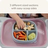image:imageNUK for Nature Suction Plate and Lid LeakProof Lid Microwave Freezer amp Top Rack Dishwasher Safe BPA amp LatexFree Pack of 11 Count Pack of 1